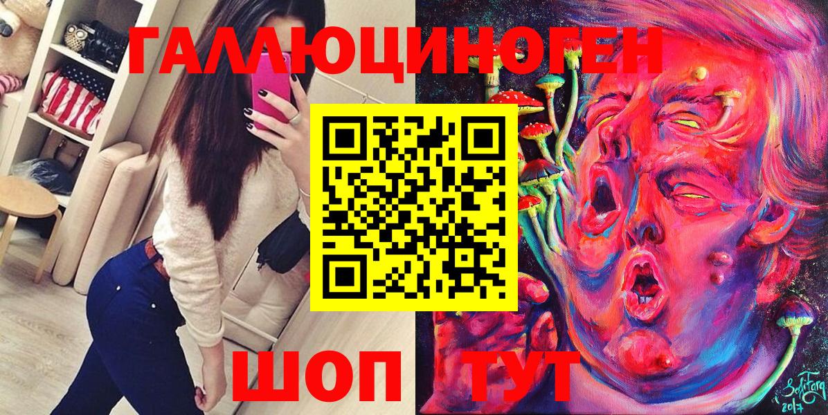 Псилоцибиновые грибы Psilocybe Еманжелинск